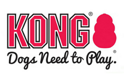 KONG logo